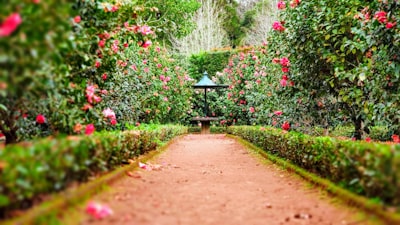Gardener hands